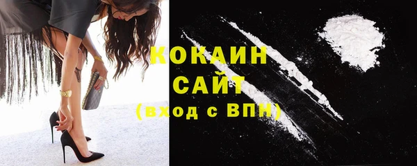 шишки Володарск