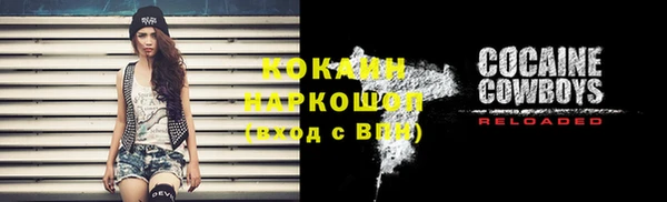 шишки Володарск