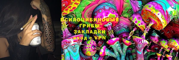 шишки Володарск