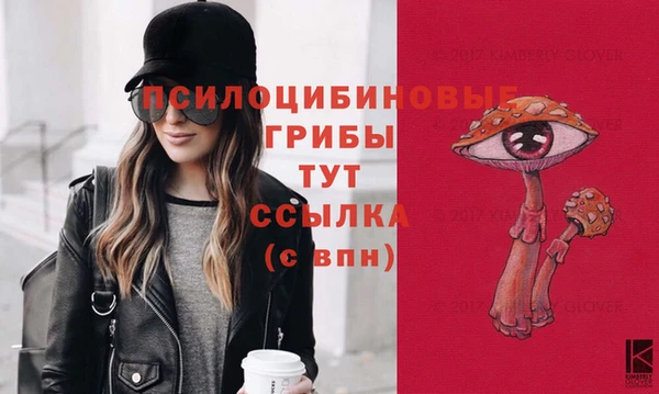 шишки Володарск
