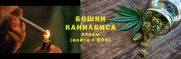 шишки Володарск