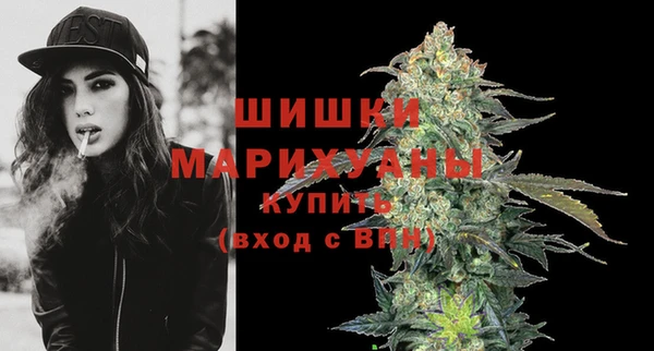 шишки Володарск