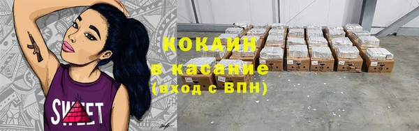 шишки Володарск