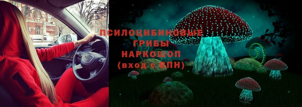 шишки Володарск